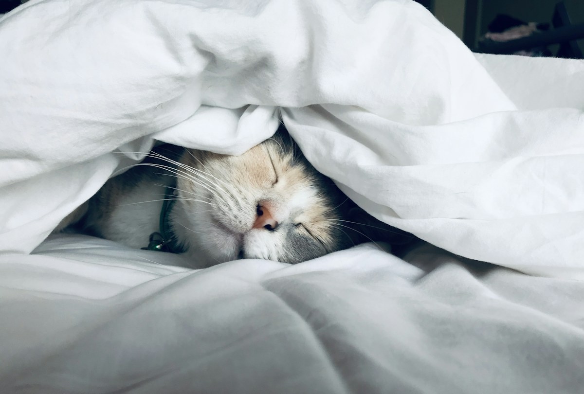 Personne au repos. Photographie d’illustration du sommeil.