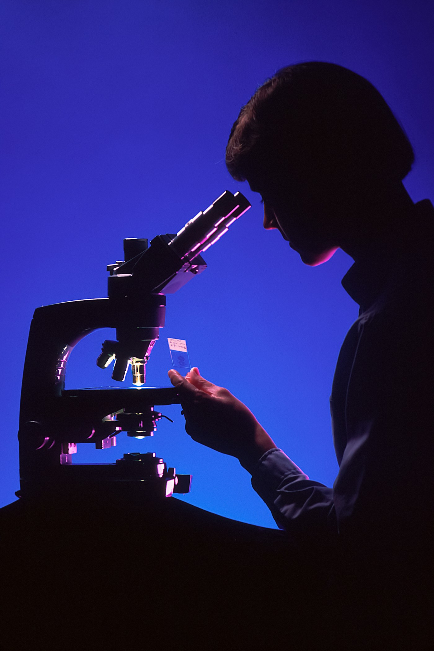 Travail au microscope dans un laboratoire. Photographie d’illustration.